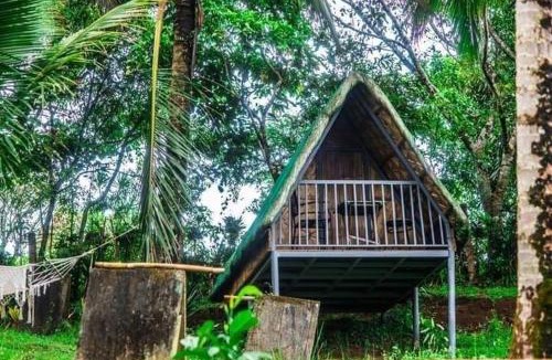 Tanay Other | Camp Mayagay Tanay Rizal