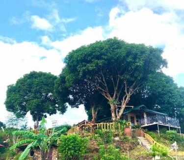 Pililla House | Casa Nessal