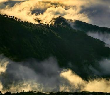Sagada House | Catlin's Cabin and Cafe