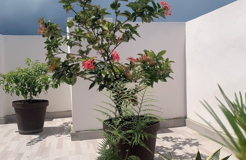 Monte Plata Apartment | Charming 1-bedroom apartment in peaceful Monte Plata with AC and more.