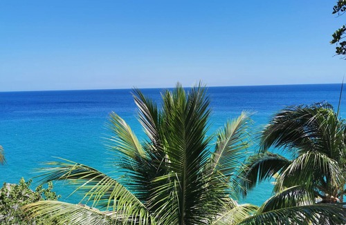 El Batey Apartment | Cozy Apartment in Oceanfront Resort Free Weekly Maid Service