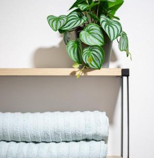 Mandurriao Apartment | Cozy & Homey 3-Bedroom