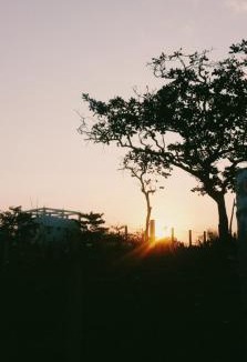 Luna Apartment | Cristy's Relaxing Sunny Place