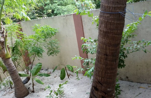 Roxas Cottage | Cute , cool Blue Kubo near the beach