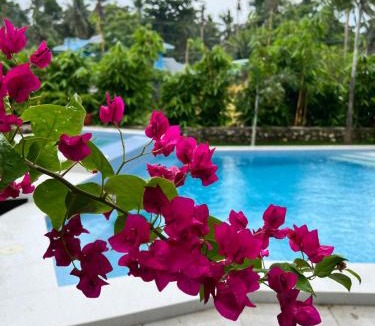 Panglao House | D ARC Leisure Home By The Sea