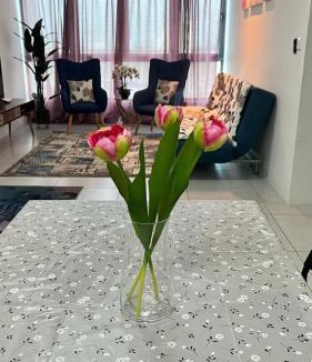 Kampung Masjid Timah Apartment | D Naurah Meritus Guesthouse