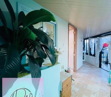 Baguio House | Dals Accommodation pad