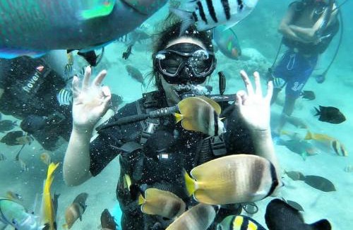 San Luis Resort | Dive and Trek Resort and Marine Sanctuary
