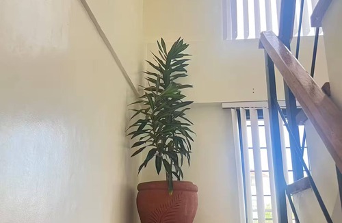 Dasmarinas House | Escape 2 tranquility at its best