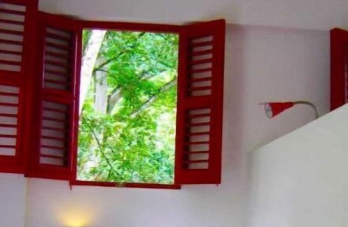 Los Cacaos House | Family Cabin by the River, EcoTurism, Wifi, Pet Friendly @drvacationsrental