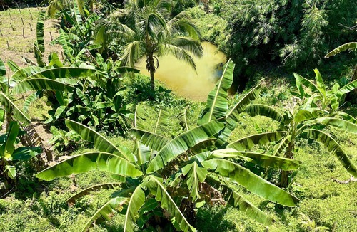 Wao Other | Felcordz Nature Farm and Resort