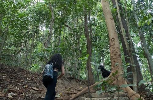 Morong Apartment | FOREST and OCEAN Nest with Self-Service Breakfast - AC, Monkeys, Pet Friendly with a Fee