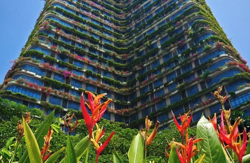 Gelang Patah Apartment | Forest City Eco Stay Carnelian Service Apartment