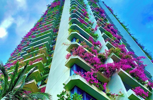 Gelang Patah Apartment | Forest City Eco Stay Carnelian Service Apartment