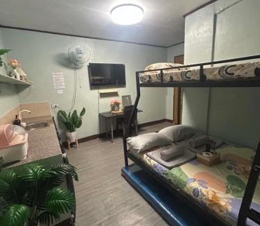 Puerto Princesa City Centre Hotel | Frogman inn