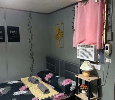 Puerto Princesa City Centre Hotel | Frogman inn