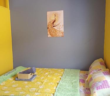 Davao House | Fully-furnished House Near Puan, Bago & Baliok in Davao City