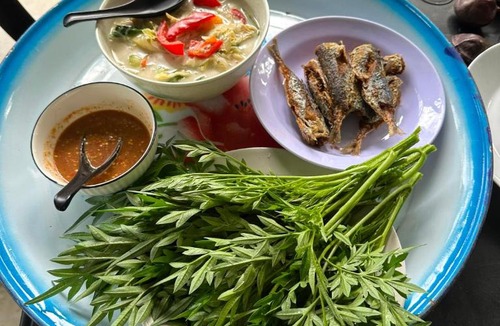 Kuala Tahan Bed & Breakfast | gaharu room