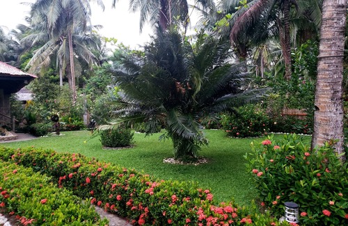 Cajidiocan House | Garden Beach House