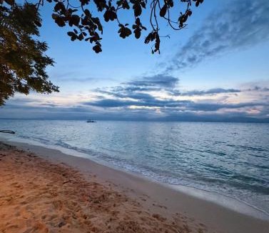 Moalboal Resort | Gardonia Native Resort - Moalboal