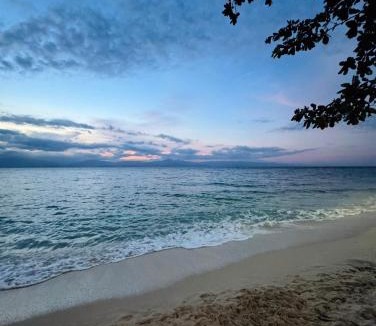 Moalboal Resort | Gardonia Native Resort - Moalboal