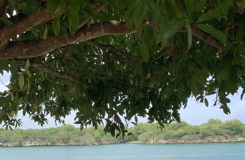 Villa Hermosa Villa | George's paradise 10 minutes from the beach and 2 minutes from excursions!