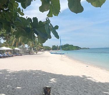 Daanbantayan Hostel | Georgia's Neverland Hostel