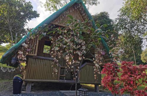 Pulot Other | Glamping, Camping, or Tent Stay at Humming Farm