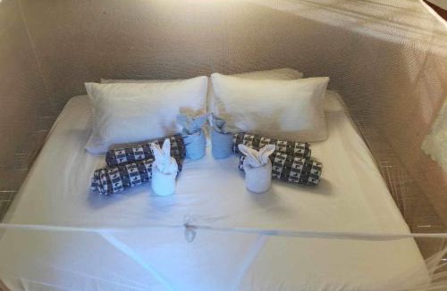 Pulot Other | Glamping, Camping, or Tent Stay at Humming Farm