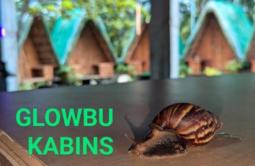 San Juan Other | Glowbu Kabins