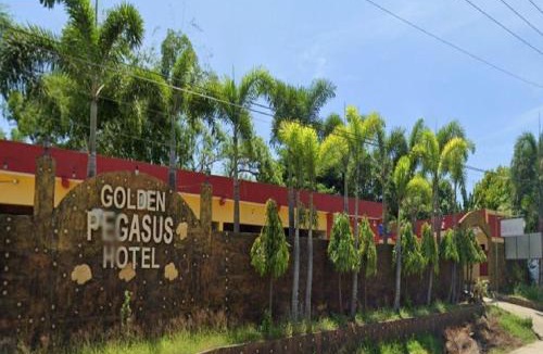San Juan Hotel | Golden Pegasus Hotel La Union by RedDoorz