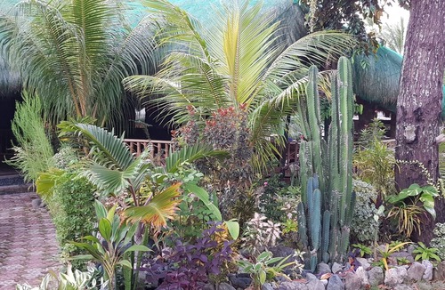 Looc Cottage | Gorgeous Cottage for 2, Best Resort in Tablas