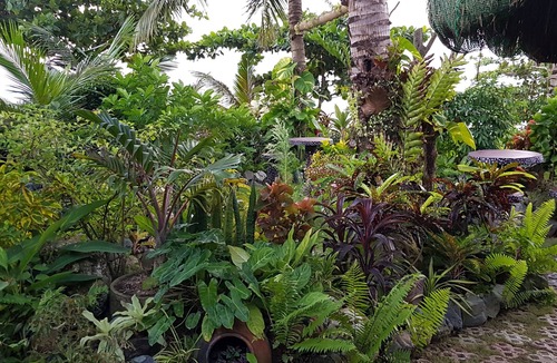 Looc Cottage | Gorgeous Cottage for 2, Best Resort in Tablas