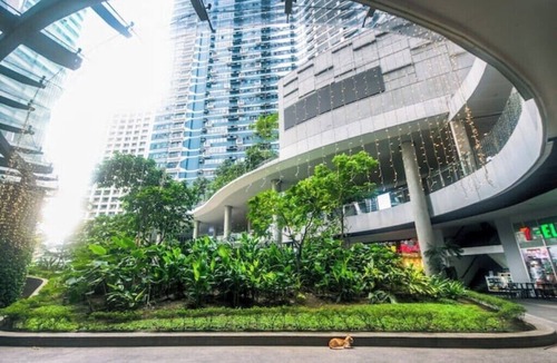 San Antonio Apartment | Heavenly Viber The Roman Empire Air condo Swim gym