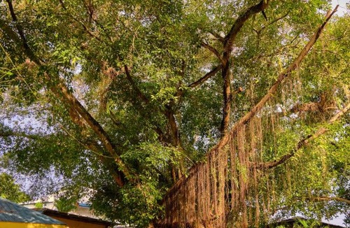 Mactan Export Processing Zone Hotel | Hidden Hill Hotel