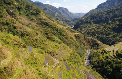 Batad House | Hiker's Homestay
