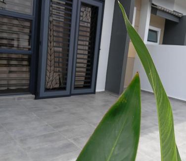 Ayer Panas House | HOMESTAY IMPIAN AYER MOLEK MUSLYM only