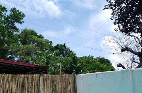 Coron Town Proper Hostel | Hostel ∙ 8 guests