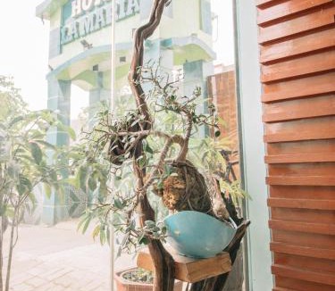 Guiuan Hotel | Hotel La Maria