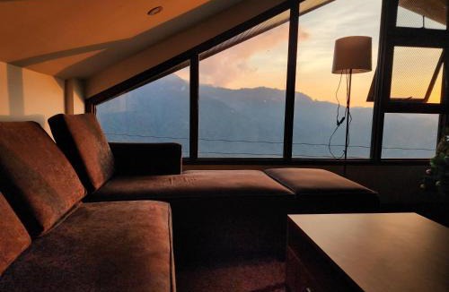 Tuba House | House of Joe - Pinewoods