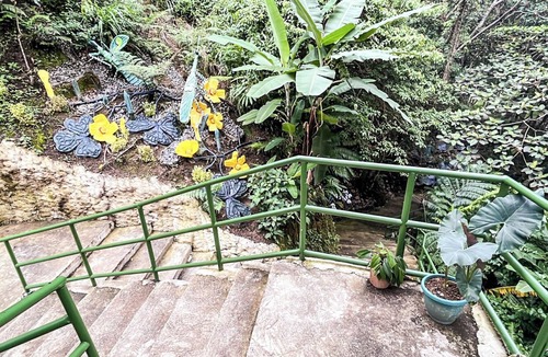 Tuba Cabin | House with hot pool and forest view, Baguio. Tuba, Benguet.