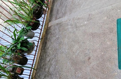 Sagada House | Inn Maugay Bed and Bath