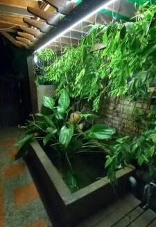 Taman Seri Gombak House | Jerry's Homestay Batu Caves Gombak
