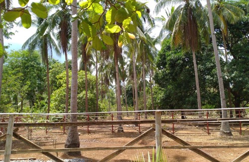 Mimaropa House | Josefa Farm House