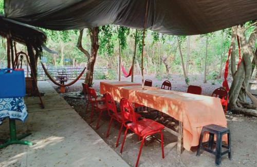 Luna Other | JUNGLE AERIAL ARTS NAMASTE LA UNION Chi fan kubo 2pax