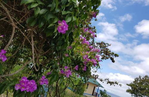 Larena House | Karlsson's Guesthouse