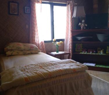 Badian Bed & Breakfast | Kitakubo Residence