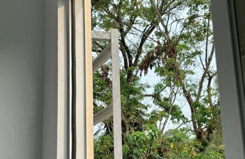Infanta House | La Casa 1101