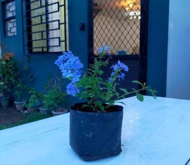 San Pablo House | Le Grande Bleu