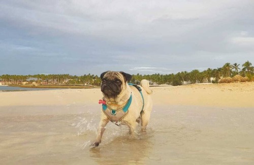 El Soco Villa | Lujosa villa a tan solo 5 minutos de playa privada.